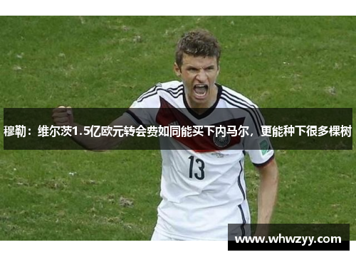 穆勒：维尔茨1.5亿欧元转会费如同能买下内马尔，更能种下很多棵树